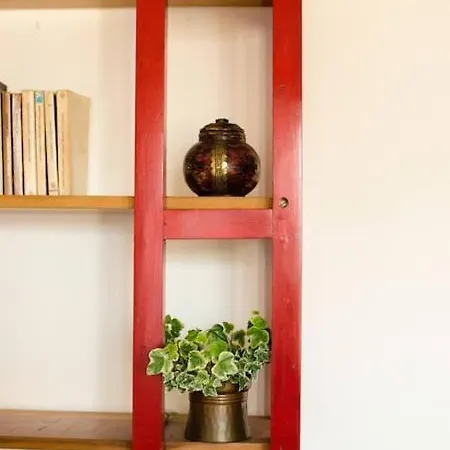 My In Monteverde Apartamento *